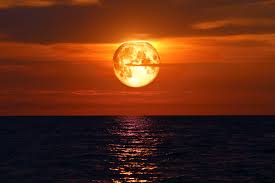 The sun in cancer describes what is likely to motivate you, and why. What July S New Moon And Solar Eclipse In Cancer Mean For Your Sign