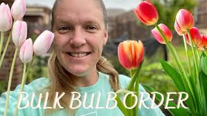 Roadside Yellow® Daffodils