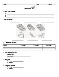 Human Body Muscles Worksheet Human Body Muscles Human Body Systems Human Body
