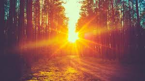 El solsticio de verano (el término solsticio proviene del latín sol sol y sistere permanecer quieto) ocurre durante el verano de cada hemisferio, cuando el semieje de un planeta, ya sea en el hemisferio norte o en el sur, está más inclinado hacia la estrella de su órbita. N6f390d Vve43m