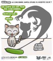 It is free and mit licensed. Vie Du Chat Le Concombre Simple Legume Ou Monstre Cache Blagues Et Dessins
