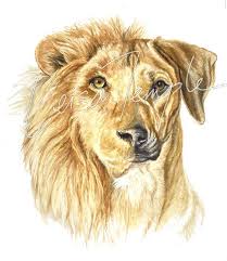 Lionhound The One And Only Rhodesian Ridgeback Icon On Etsy 265 00 Rhodesian Ridgeback Dog Beautiful Dogs Rhodesian Ridgeback