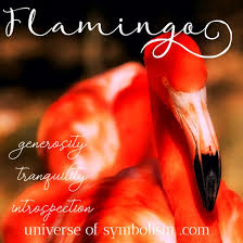 Flamengo in 'advanced talks' to create mls franchise in las vegas onefootball blaise bourgeois today, pm las. Flamingo Symbolism Meaning Flamingo Spirit Animal Totem Powers
