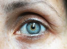 The best gels for grooming your brows. The Best Eyebrow Pencils For Gray Hair Bellatory
