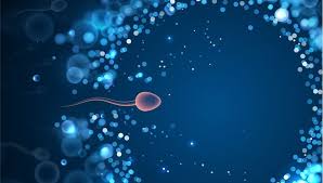 Aşı ile beraber ortaya çıkan pek çok spekülasyondan birisi olan biontech aşısı kısırlaştırır mı suali, uzmanların…. Biontech Asisi Kisirlik Yapiyor Mu Sperm Sayisina Etkisi Arastirildi Saglik Haberleri Ntv