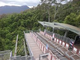 Click on the power point picture below. Scenic World Scenic Railway Scenic Cableway Museum Finder