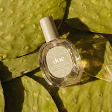 You've heard a lot of legends; Prickly Pear For Skin The Complete Guide