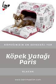 kopek yatagi paris kopek yatagi yavru kopek kopek