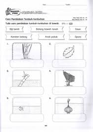 Pokok sarang daun celah batu reban 2012. Buku Latihan Sains Tahun 3