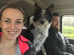 Missing border collie in Cullman County Alabama