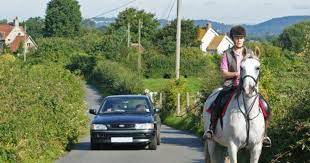 Are Horses Better Than Cars Girlsaskguys