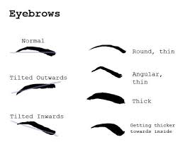 It will also make her look a more confident. How To Draw Human Eyebrows Learn How To Draw