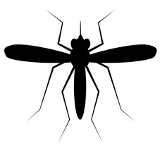 Pest Control Business Name Ideas Pest Control Diy Pest Control Best Pest Control