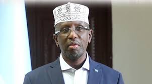 Somali PM suspends foreign minister for abuse of power