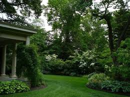 Check spelling or type a new query. 109 Landscaping Ideas For Front And Backyards In 2021
