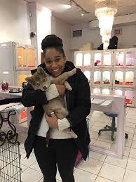 Pocket puppies boutique is the first company in chicago to specialize strictly in teacup, toy and small breed puppies. Customer Testimonials