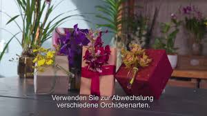 Eine weinflasche festlich in transparente folie verpacken. Diy Geschenkverpackung Mit Orchidee Youtube