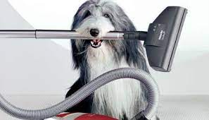 Emiş gücü yüksek elektrikli süpürgeler evcil hayvanların kıllarını ve şimdi dyson, evcil hayvanlar için özel olarak tasarladğı bu modelle karşımıza çıkıyor. Kedi Kopek Tuyu Icin 3 Elektrikli Supurge Onerisi Tavsiyeler