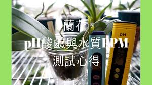 蘭花 兰花 ph酸鹼與水質ppm測試心得 蘭花種植 蘭花 兰花 orchidloveatx energy drinks red bull energy drink can