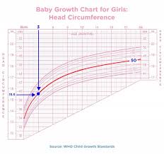 experienced baby height chart by month in inches baby height