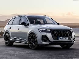 Image result for Ice Silver 2010 Q7