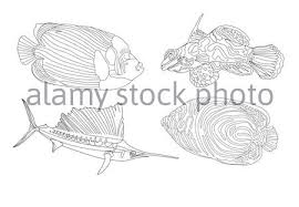 Such as png, jpg, animated gifs, pic art, symbol, blackandwhite, pix, etc. Animal Animals Aquarium Aquatic Art Beautiful Cartoon Black Colorful Creature Design Drawing Drawn Fish Hand Horse Icon Illustration Isolated Life Logo Marine Nature Ocean Orange Sea Seahorse Symbol Tropical Underwater Vector Water Web White Wildlife
