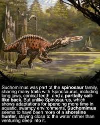 Image result for Suchomimus