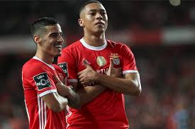 Sl Benfica On Twitter Sports Jersey Jersey Sports