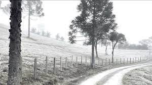 O frio intenso continua e com. Frio Abaixo De Zero No Sul Do Brasil Metsul Meteorologia