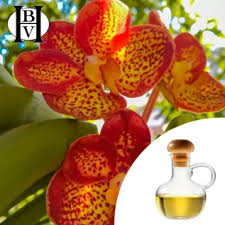 Image result for Pentadesma