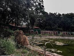 We did not find results for: Abandoned Disney S River Country In Florida In Eerie Photographs Daily Mail Online