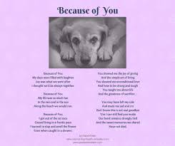 Many of us share an intense love and bond with our animal companions. Pet Loss Poems Celebrating The Love And Lives Of Our Dogs Pet Loss Poem Pet Loss Quotes Dog Poems