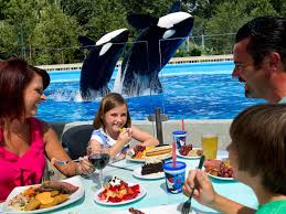 Whether you want to sit back and relax or get food on the go, our food outlets have something for everyone. 5 Great Places To Eat At Seaworld Orlando Attractiontickets Com