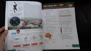 Esps ipa kelas 6 pdf. R9mdfq5soeft7m