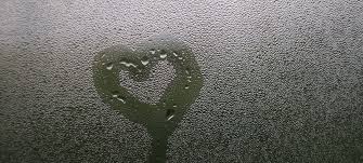 Saudade is a deep emotional state of nostalgic or profound melancholic longing for something or someone that one cares for and/or loves. As Saudades Que Sinto Vida Simples