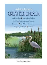 Advice From A Great Blue Heron Mini Poster Blue Heron Animal Medicine Animal Spirit Guides