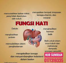Contextual translation of pundi hempedu into english. Jom Vitamin Fungsi Hati Rembesan Hempedu Cecair Facebook