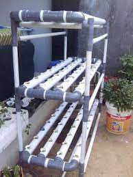 Balkon Gardening Gesundes Leben E V Berkebun Hidroponik Aquaponics Hidroponik