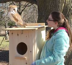 Besteveralbums.com provides a whole host of statistics, and allows you to rate, rank and comment on your favourite albums, artists and tacks as. Local Girl Scout Saves The Barn Owls To Achieve Her Gold Award Westside News Inc