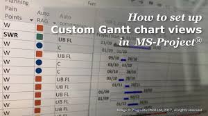 how to set up custom gantt chart views in ms project