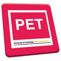 We did not find results for: Pet Exam Achieve High Results With Seda College