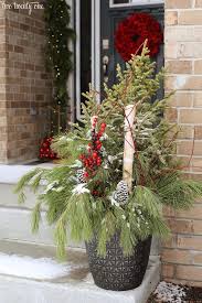 Check spelling or type a new query. Front Porch Christmas Decorations