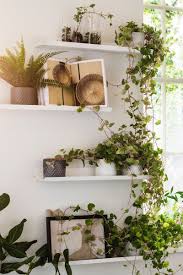 Pin On Terrassendielen