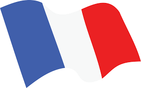 When designing a new logo you can be inspired by the visual logos found here. France Flag Png