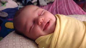 Bebes Riendo Para Alegrarte El Dia Videos Marcianos