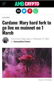 Cardano (ada) merupakan salah satu mata uang crypto yang mengalami apresiasi signifikan di tahun 2021. The Most Epic Fork In The Road In Human History Cardano