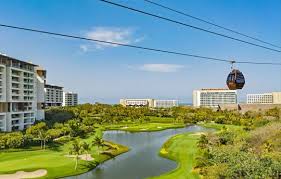 Image result for Oldenlandia verrucitesta