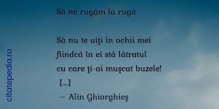 Citate Similare Cu Să Nu Te Uiţi In