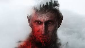 A Stranger in the Woods