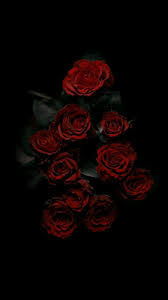 Pin By Buntyrr On N Flowers Black Background Rose Wallpaper Red Roses Wallpaper